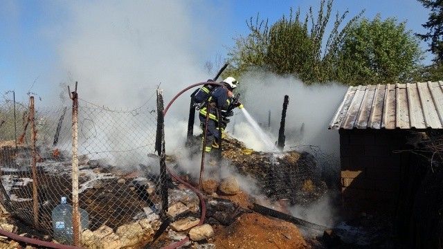 Antalya&#039;daki yangında 15 koyun telef oldu
