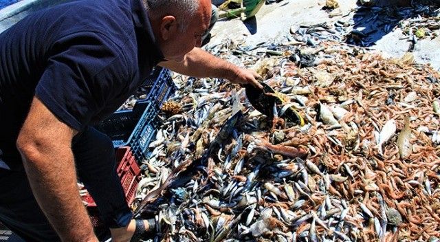 Balıkçılar endişeli! Akdeniz’de balıktan çok çöp çıkıyor