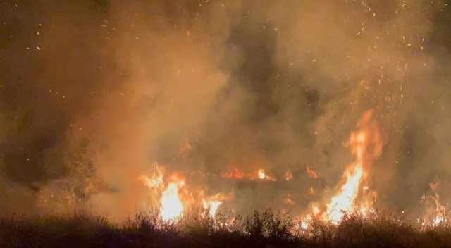 İznik Gölü kıyısında yangın! 20 dönüm alan küle döndü