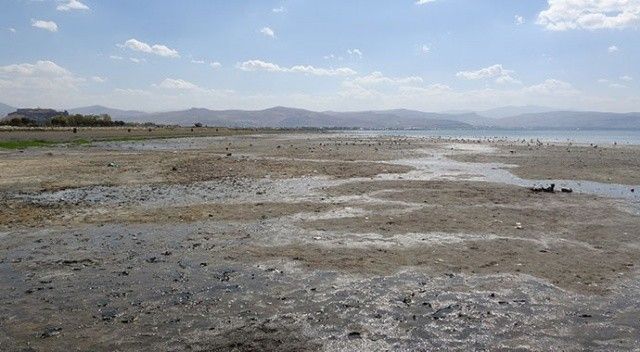 Kuraklık Van Gölü’nüde vurdu! Yüz yıllık iskele ortaya çıktı