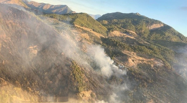 Muğla&#039;da orman yangını kontrol altına alındı