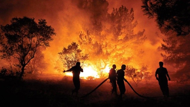 Orman yangınlarına teknolojik tedbir