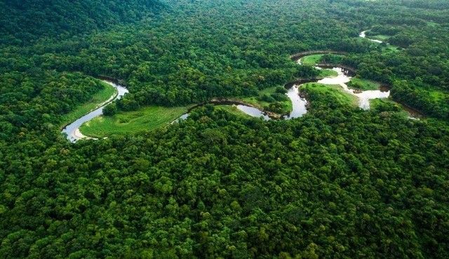 Amazonlar&#039;daki ormansızlaşma korkutuyor