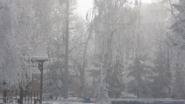 Ardahan&#039;da Sibirya soğuğu! Termometreler eksi 22&#039;yi gördü