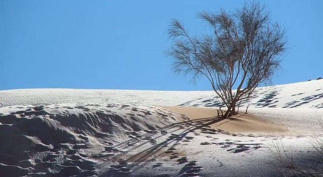 42 yılda beşinci kez! Sahra çölü karla kaplandı