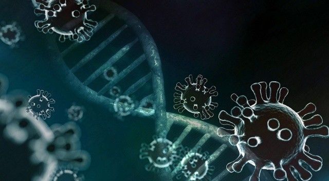 Kritik gen keşfedildi: Koronavirüsü neden bazı kişilerin hafif atlattığı belli oldu