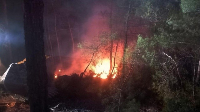 Muğla&#039;da orman yangını çıktı