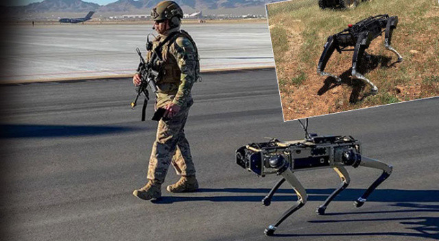 ABD, Robot Köpekleri sınırda test ediyor