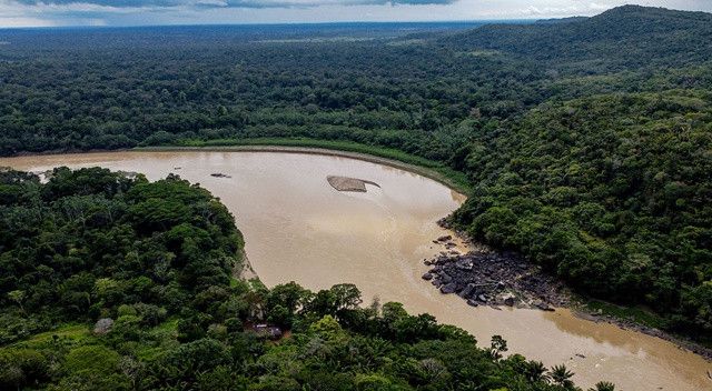 Bir ay önce Amazonlar&#039;da kaybolmuşlardı! İki küçük çocuk tesadüfen bulundu