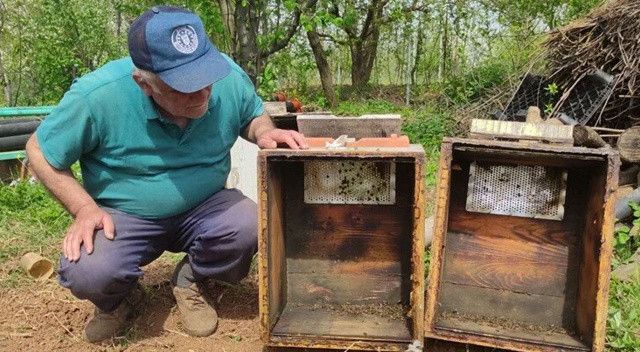 Bursa’da korkutan görüntü: Yüzlerce arı telef oldu