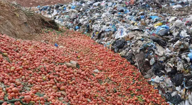Çöpe dökülen sebzeler için Ticaret bakanlığı devreye girdi