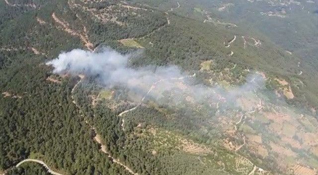 Marmaris&#039;in ardından bir tane daha! İzmir&#039;de ormanlık alanda çıkan yangın kontrol altında