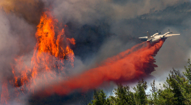 Marmaris&#039;teki orman yangına müdahale sürüyor! Yeşil Vatan için Seferberlik