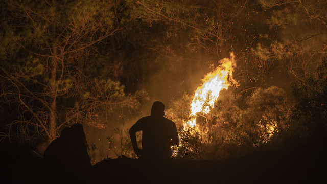 Marmaris&#039;teki orman yangınını çıkaran kişi suçunu itiraf etti