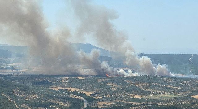 Son dakika: İzmir Foça&#039;da orman yangını: Kontrol altına alındı