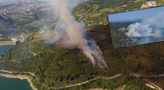 Çanakkale ve Kocaeli&#039;de orman yangını!