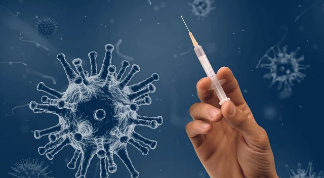 Çiçek aşısı, maymun çiçeği virüsünü önlemede yüzde 85 etkili