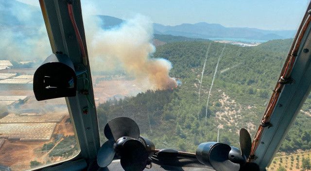 İzmir&#039;de yangın: Sera bölgesinde başladı ormana sıçradı