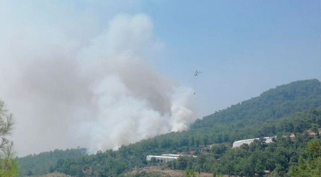 Mersin&#039;de çıkan orman yangını kontrol altına alındı