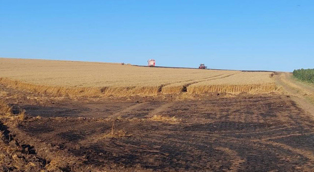 Tekirdağ’da yürek sızlatan görüntü: Bin dönümlük buğday tarlası yandı