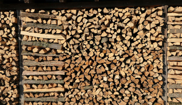 Avrupa odun depolamaya başladı