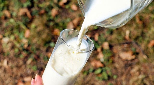 Bitkisel süt içenlerin sayısı artıyor… Peki, hayvansal süt mü bitkisel süt mü tercih edilmeli?