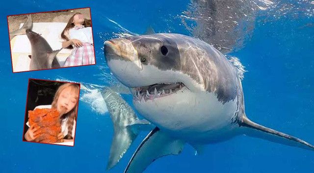 Canlı yayında köpekbalığı yemişti: 10 yıl hapsi isteniyor