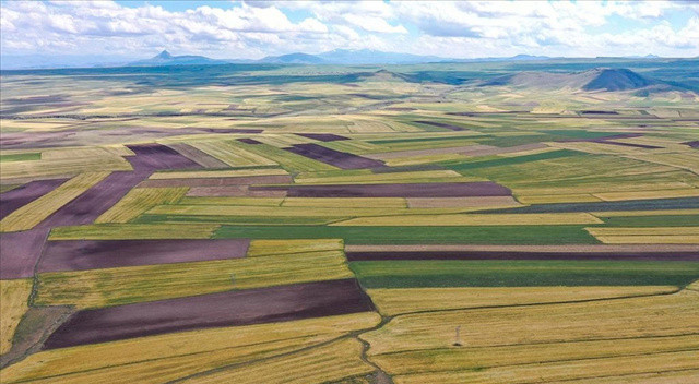 Sözleşmeli üretim yasası yolda: Çiftçi mazot ve gübreyi düşünmeyecek, ekilmemiş arazi kalmayacak