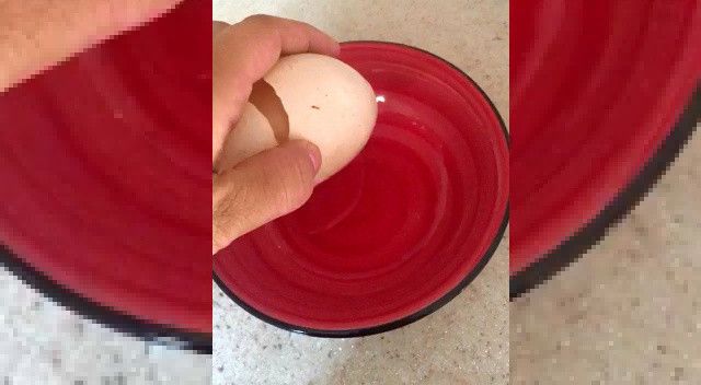 Görülmemiş olay! Tavuk yumurtasının içinden çıkan şey hayrete düşürdü