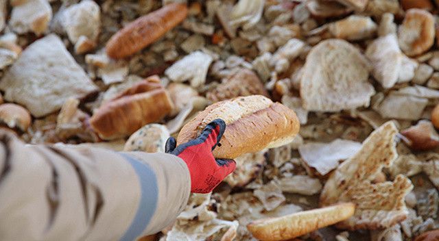 Türkiye&#039;nin israf karnesi: Günde 4,9 milyon ekmek çöpe gidiyor