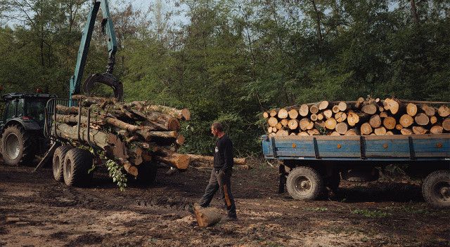 Rusya-Ukrayna’ya savaşı Avrupa’yı yıllar öncesine götürdü: Yakacak odun değerli hale geldi