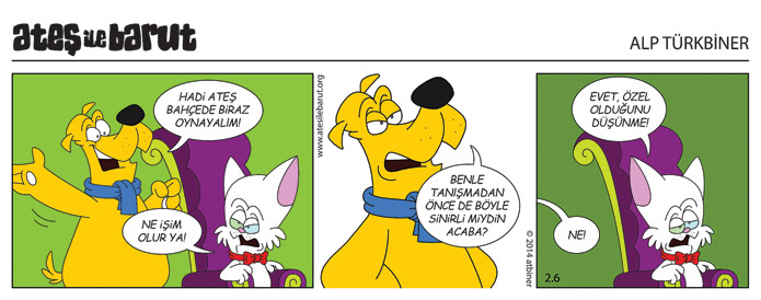 Ateş ile Barut