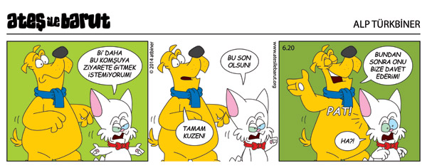 Ateş ile Barut