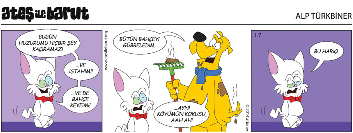 Ateş ve Barut