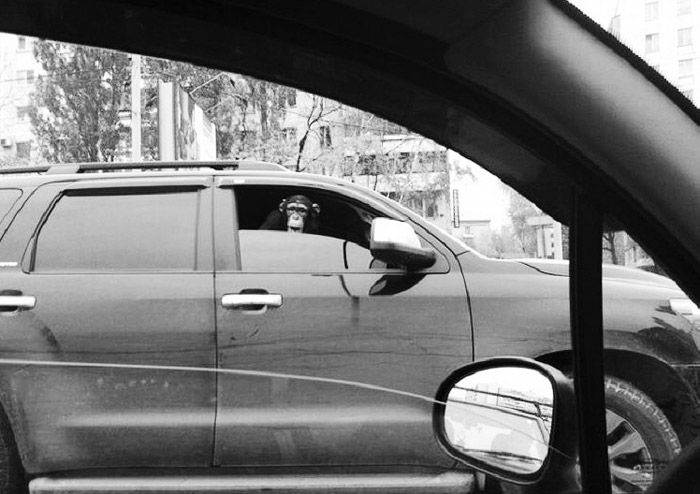 Evde kalmış kız hâlleri!..