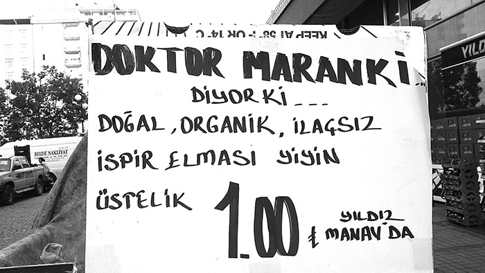Sevmek...