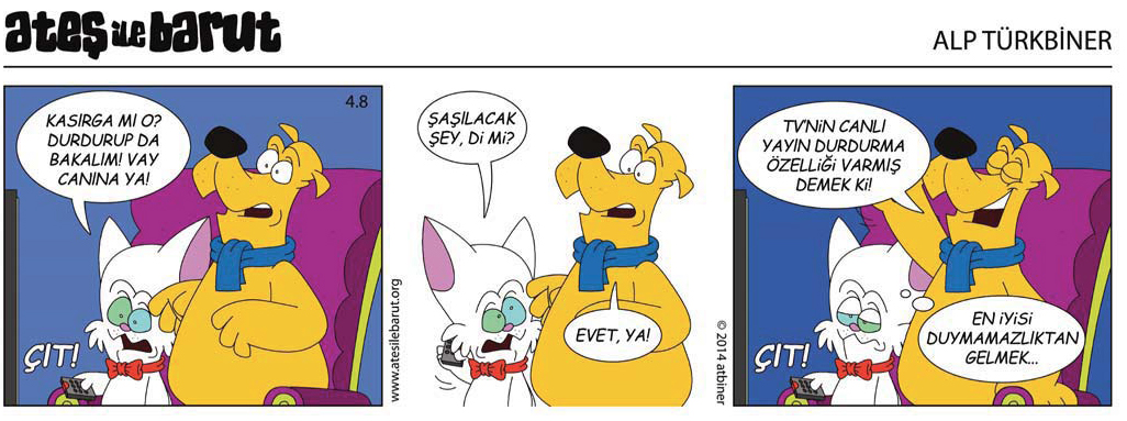 Ateş ile Barut