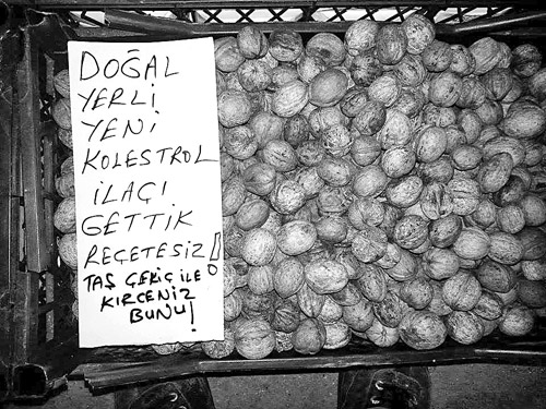 İsviçreli Bilim Adamı