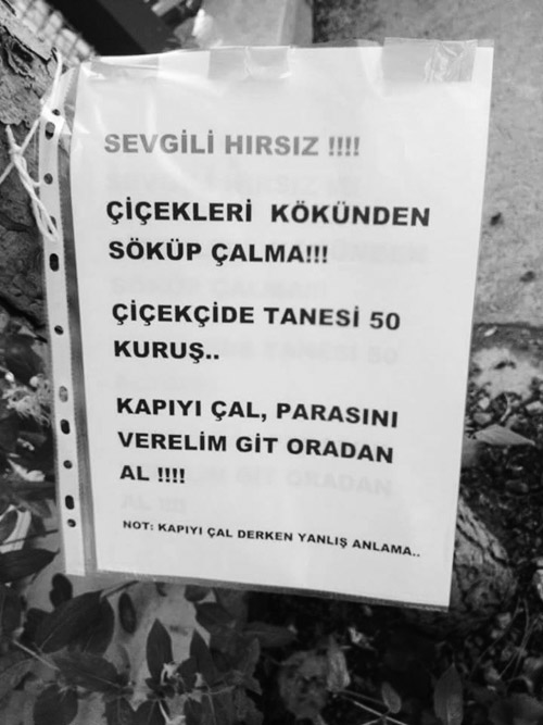 İdeal kadın kimdir?