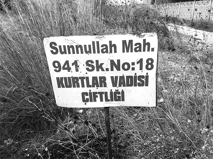 Tavsiye...
