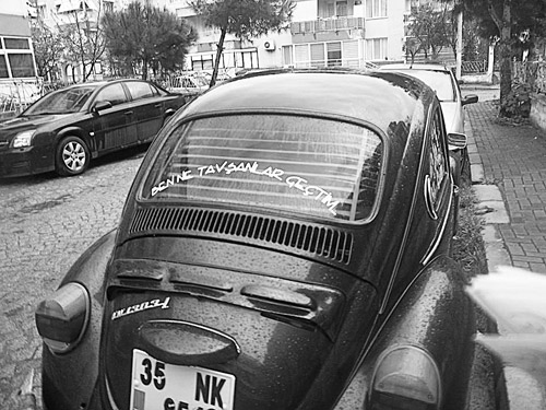 Aşk nedir?