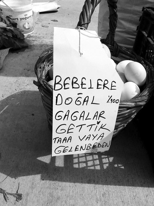 Temel bir gün...