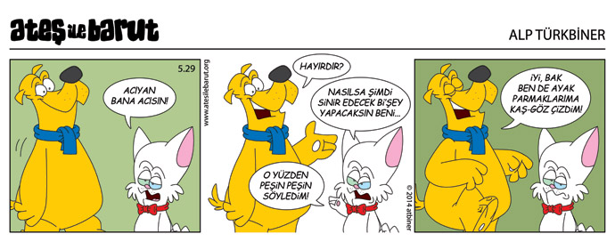 Ateş ve Barut