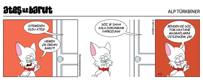 Ateş ve Barut