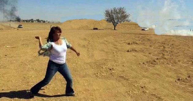 Demokrasi oyunu ve kabadayı mızıkçılar