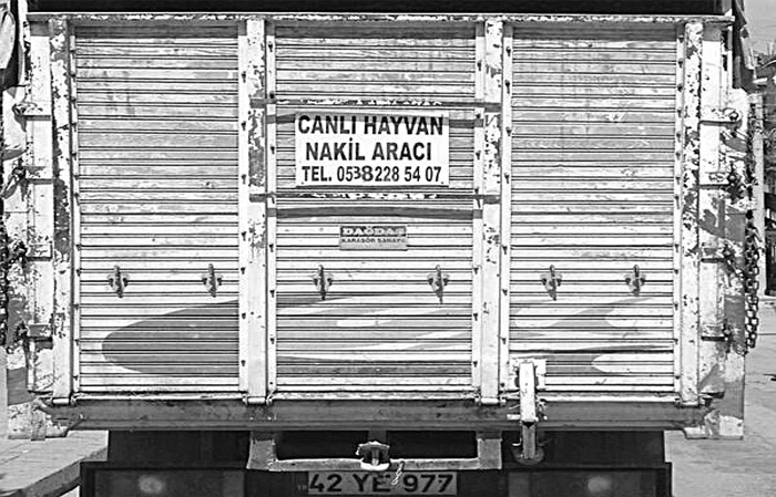 DUYMAK İSTEDİĞİMİZİ DUYAR, GÖRMEK İSTEDİĞİMİZİ GÖRÜRÜZ;