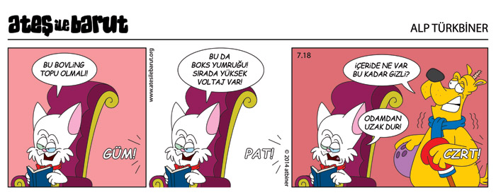 Ateş ve Barut