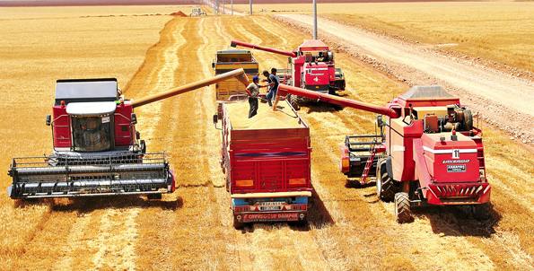 En büyük çiftlik Ceylanpınar'da
