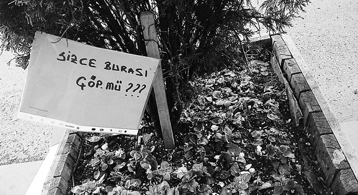 Bir cümle bir anlam