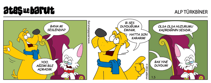 Ateş ile Barut